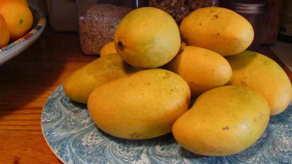 Ensalada de Quinoa con Mangos