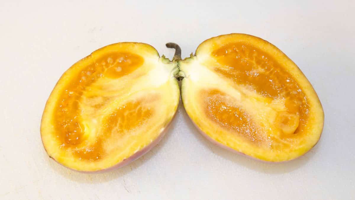 El interior de un tomate de árbol