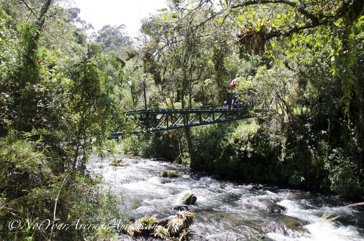Gateway to Rumipamba, Cascada Condor Machay, Ecuador Gateway to Rumipamba, Cascada Condor Machay, Ecuador