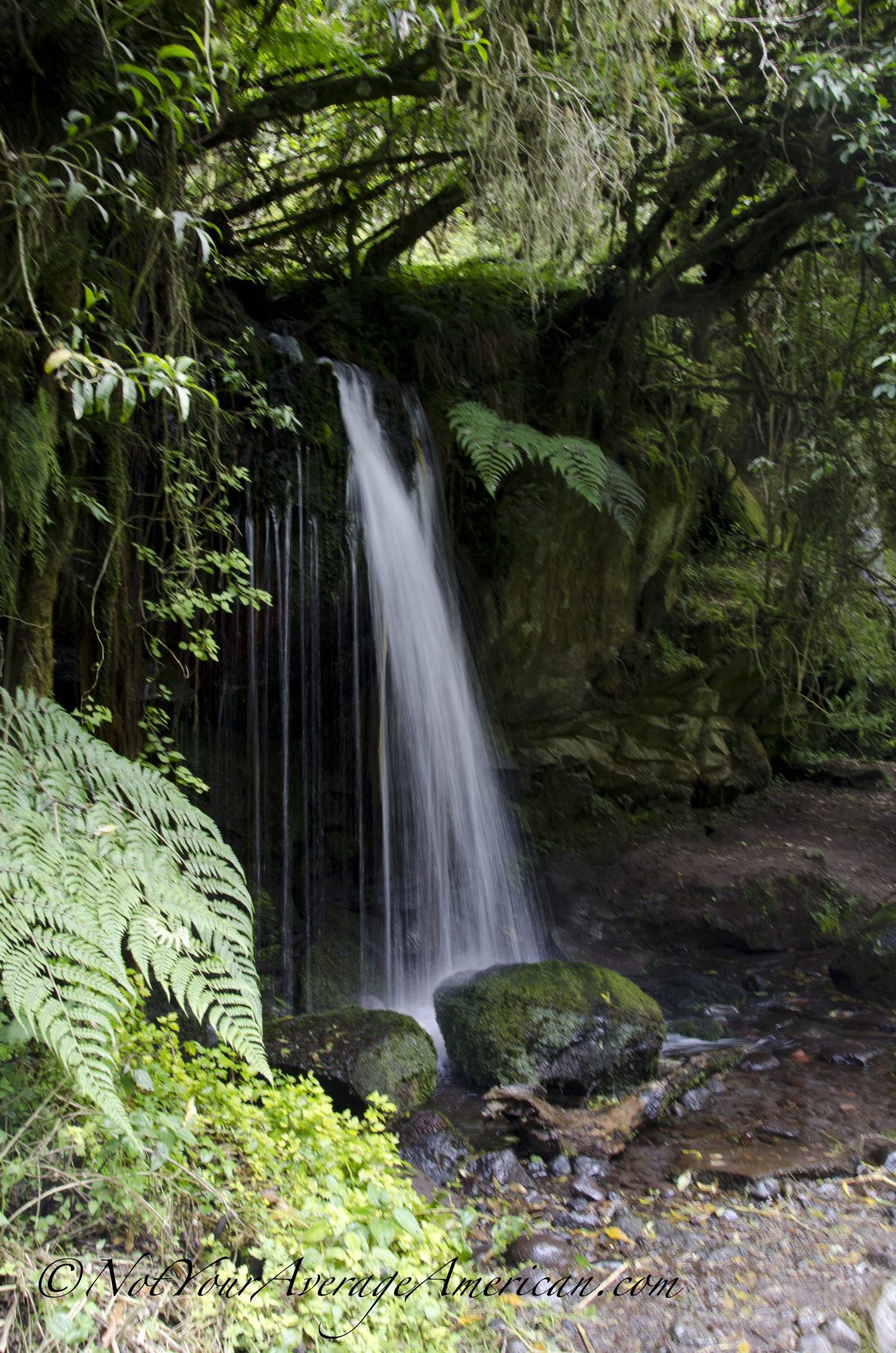 Small Cascade, Cascada Condor Machay, Ecuador Small Cascade, Cascada Condor Machay, Ecuador