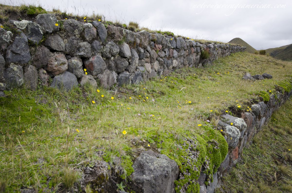 Detalle de un Muro, Pucara Saltire, Parque Nacional Cotopaxi, Ecuador