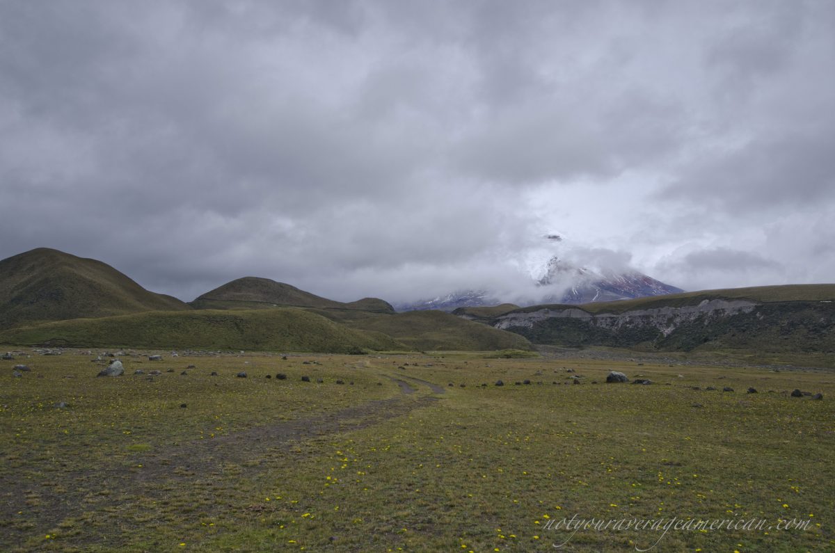 Un vistazo al Volcán, Parque Nacional Cotopaxi, Ecuador