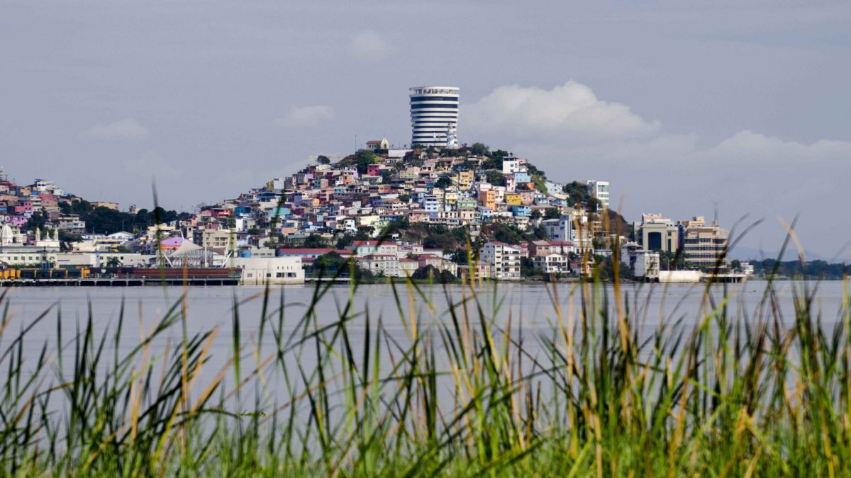 View of Cerro Santa Ana from Isla Santay, Guayaquil, Ecuador | ©Angela Drake View of Cerro Santa Ana from Isla Santay, Guayaquil, Ecuador | ©Angela Drake