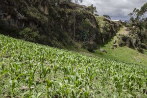 Cañar Province, Ingapirca