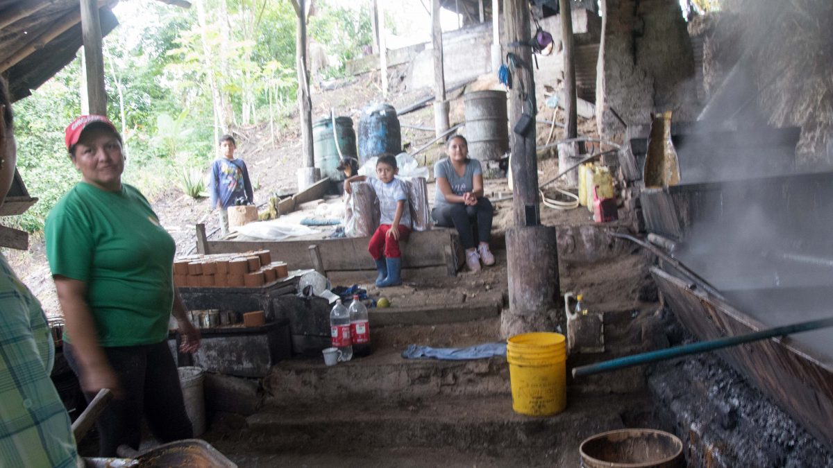 The Panela Makers, The Panela Makers, Pacto Ecuador