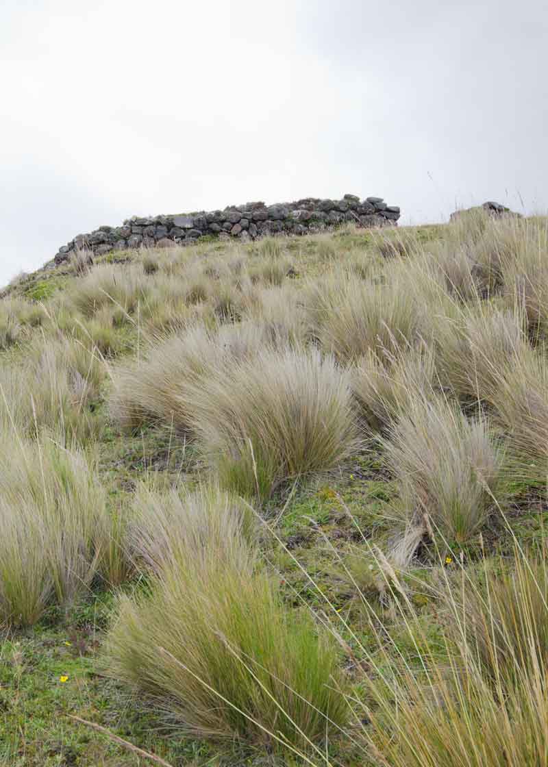 Pucara Salitre, Parque Nacional Cotopaxi, Ecuador