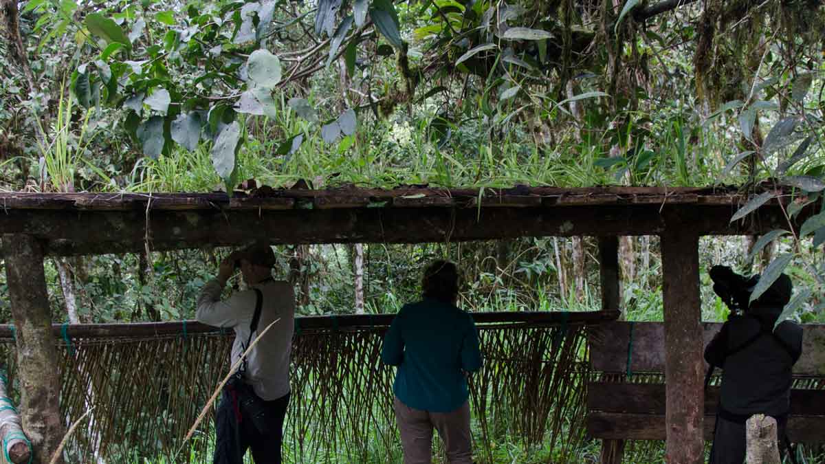 A Blind at the Angel Paz Reserve | © Angela Drake / Not Your Average American A Blind at the Angel Paz Reserve | © Angela Drake / Not Your Average American