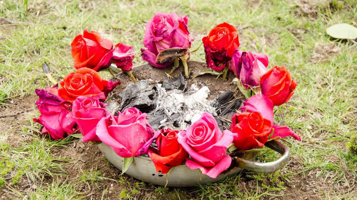 Incense and Roses for the New Fire Cleansing of the Andean New Year, Cochasqui, Ecuador | ©Angela Drake Incense and Roses for the New Fire Cleansing of the Andean New Year, Cochasqui, Ecuador | ©Angela Drake