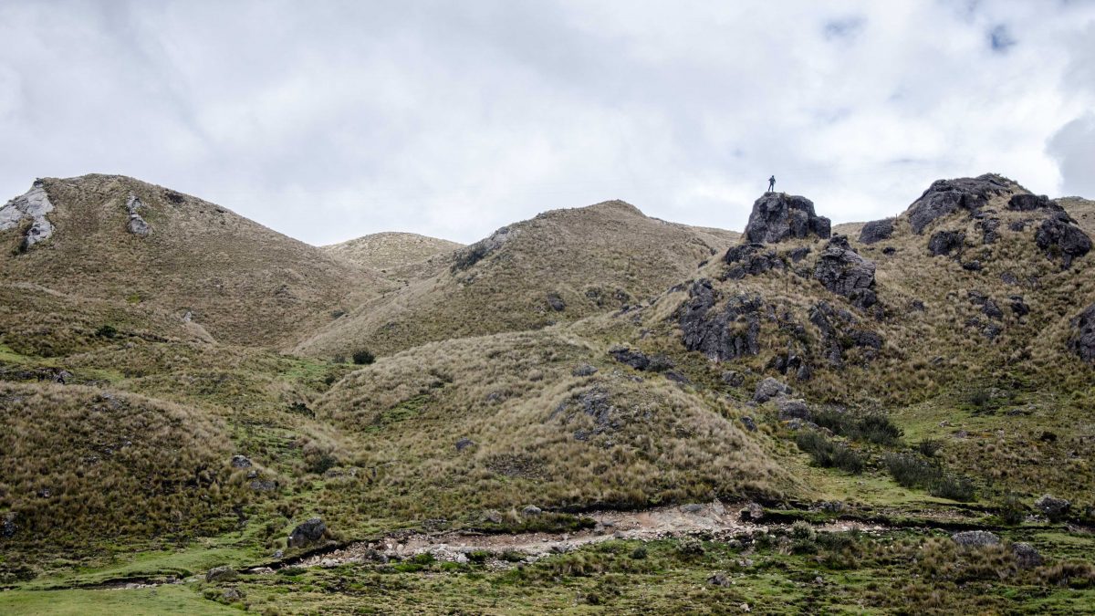 The Beauty of Cajas National Park
