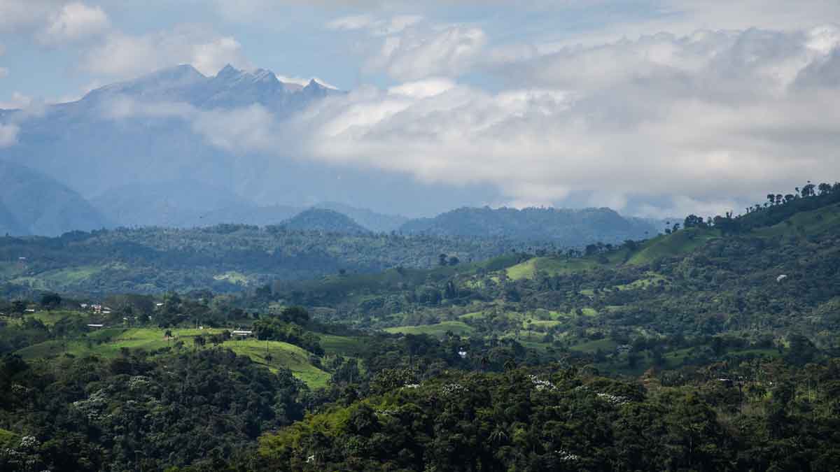 El volcán Pichincha visto desde la finca experimental de café Sol y Montaña en Gualea, Ecuador | ©Angela Drake