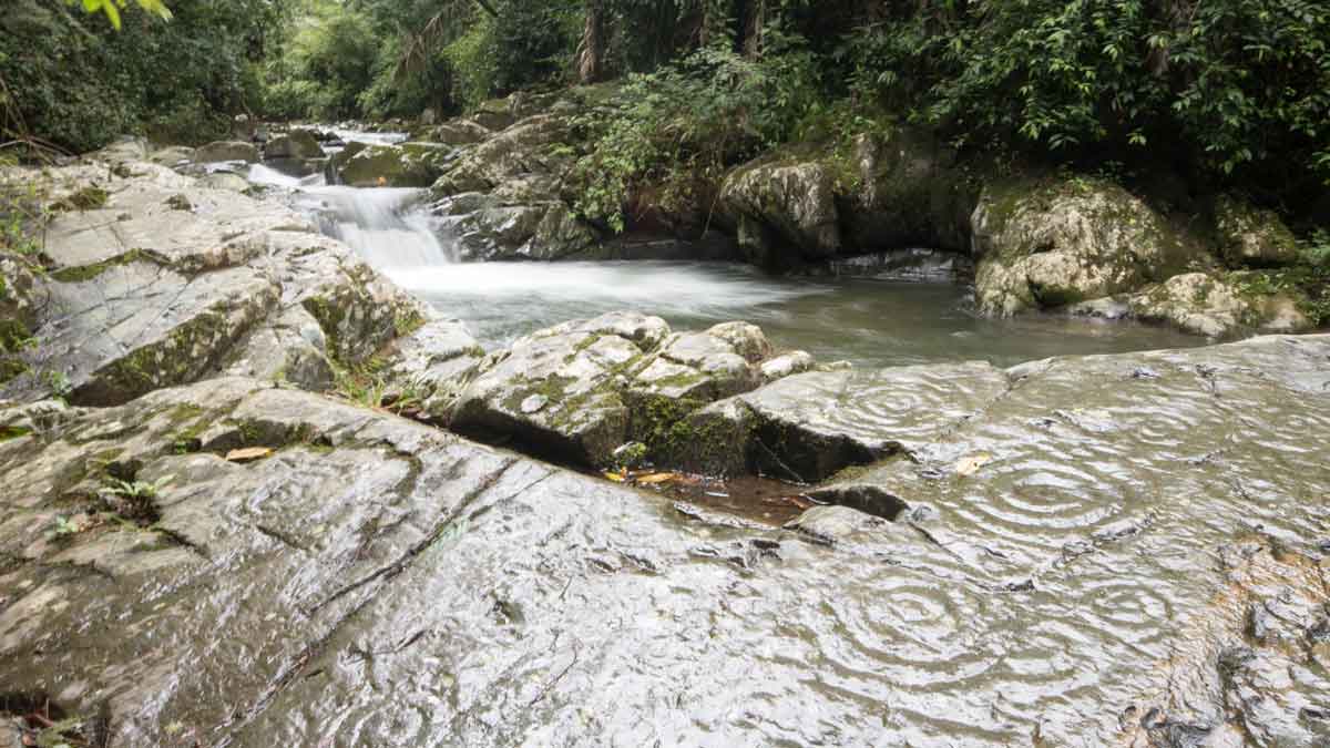 Petroglifos Yumbo a lo largo del Río Chirapi, Pacto | ©Angela Drake