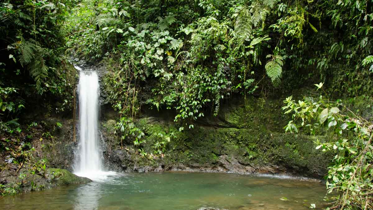 Una pequeña cascada y poza de la Reserva de Biosfera Chocó Andino, Ecuador | ©Angela Drake