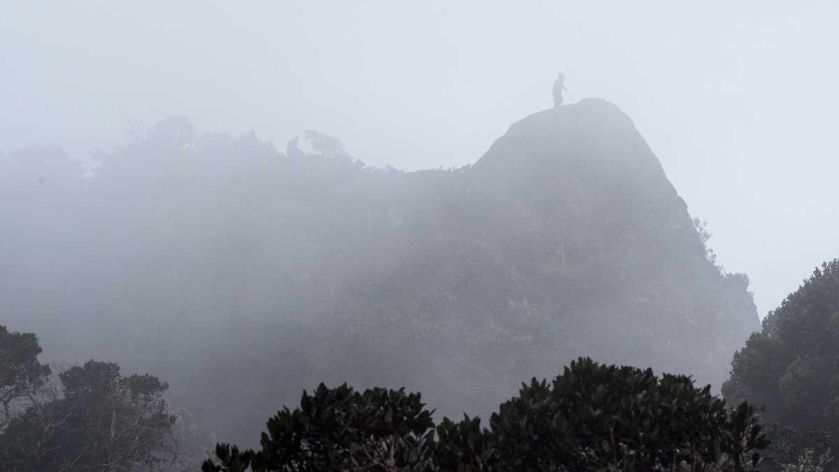 Where to See Andean Condors in Southern Colombia