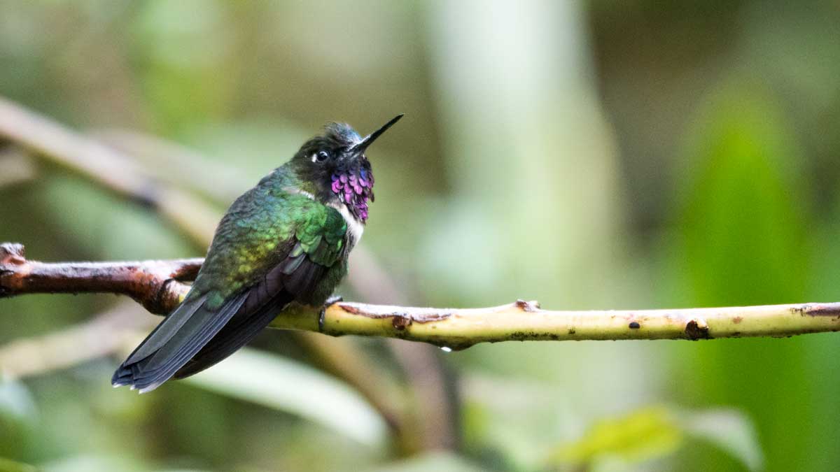 Ecuador Por Mis Ojos