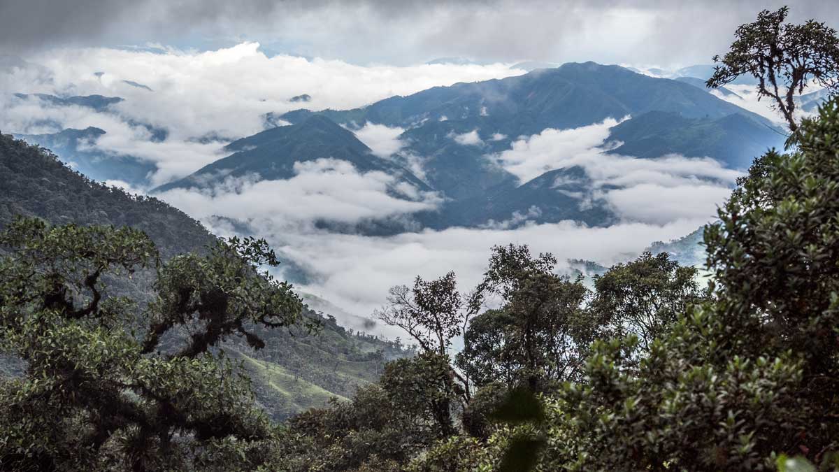 6 Reasons to Visit The Tapichalaca Reserve