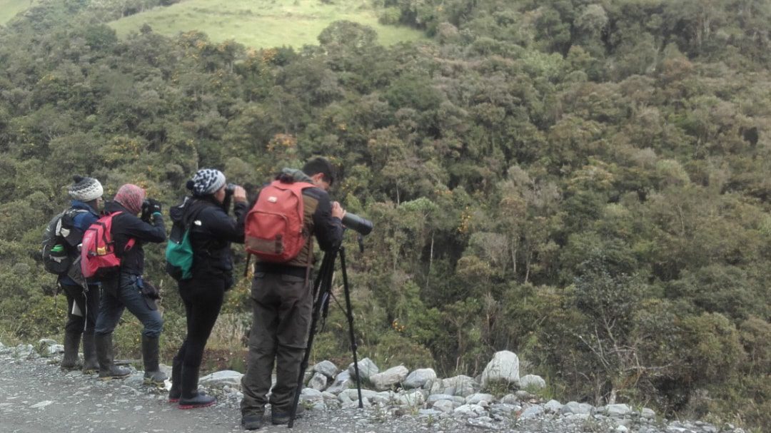 El Conteo Mundial 2020 en Parque Nacional Llanagantes