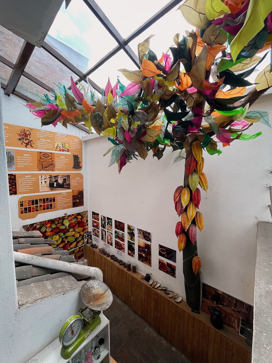 Una exposición del museo incluye un colorido árbol de cacao creado con papel
