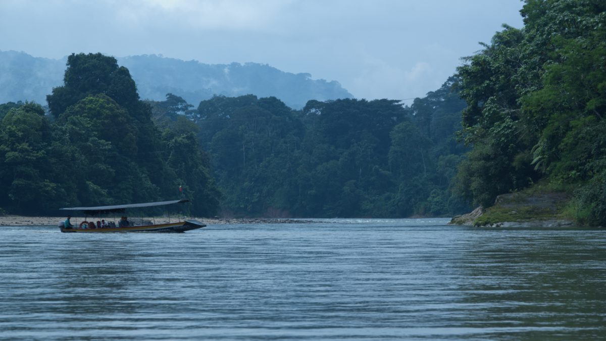 Descubre la Amazonia Ecuatoriana desde Ama EcoLodge