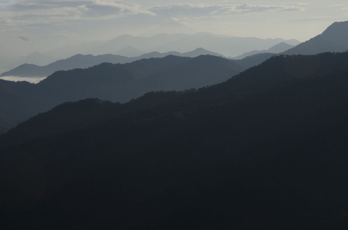 The Andes or La Cordillera Andina as seen from the Bellavista Reserve Road to the Research Station | ©Angela Drake The Andes or La Cordillera Andina as seen from the Bellavista Reserve Road to the Research Station | ©Angela Drake