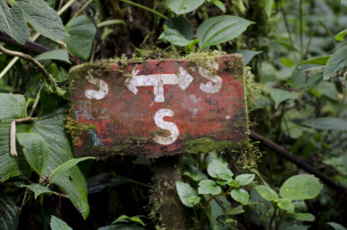Trailmarker showing streams in every direction; Bellavista Reserve, Tandayapa, Ecuador | ©Angela Drake Trailmarker showing streams in every direction; Bellavista Reserve, Tandayapa, Ecuador | ©Angela Drake
