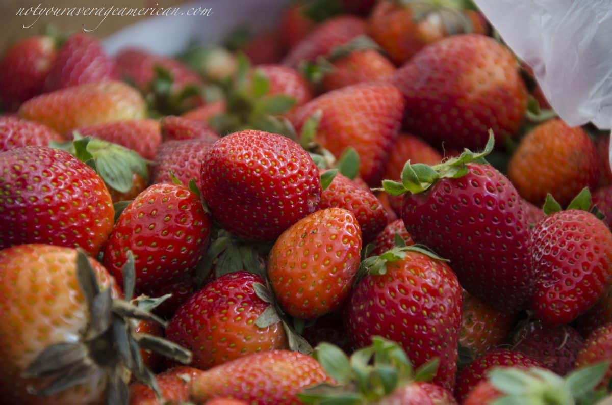 Freshly picked strawberries, Mercado La Esquina, Cumbaya, Ecuador Freshly picked strawberries, Mercado La Esquina, Cumbaya, Ecuador