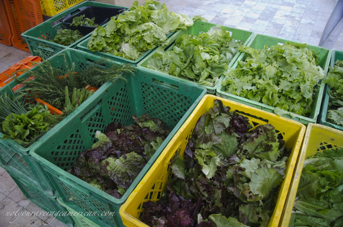 Lettuces in a myriad of colors and varieties, Mercado La Esquina, Cumbaya, Ecuador Lettuces in a myriad of colors and varieties, Mercado La Esquina, Cumbaya, Ecuador