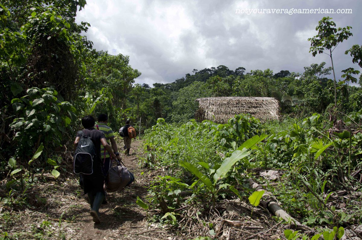 Walking from the runway towards the river, Huaorani Lodge Walking from the runway towards the river, Huaorani Lodge