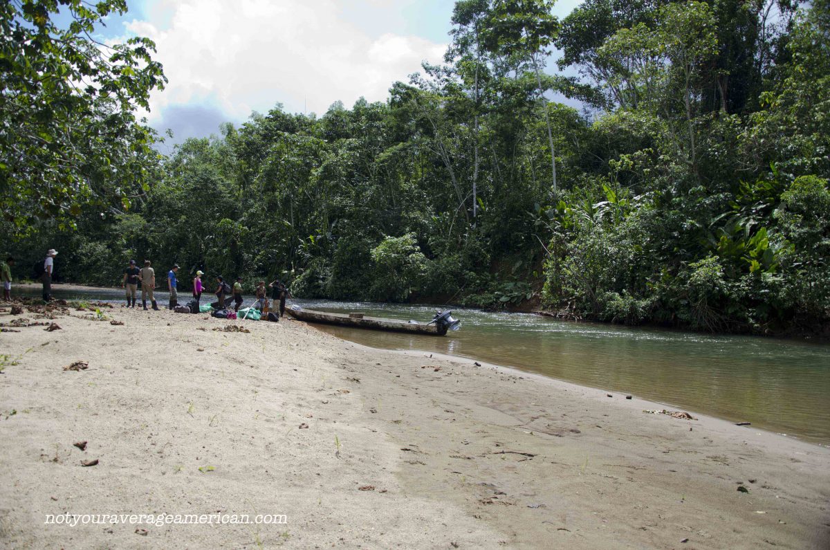 We used dugout canoes with gas motors for travel, Huaorani Lodge We used dugout canoes with gas motors for travel, Huaorani Lodge