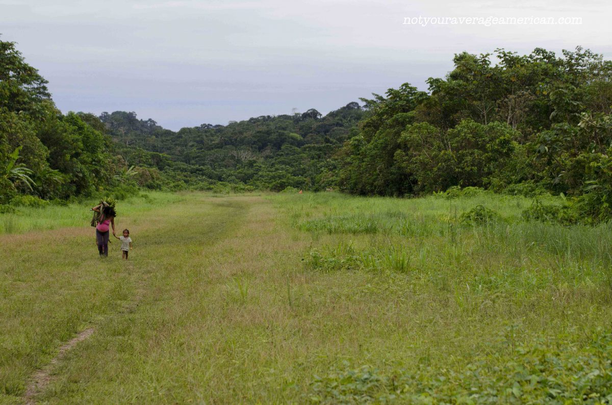 The runway is also a major thoroughfare for foot traffic as it is free from mud, Huaorani Lodge The runway is also a major thoroughfare for foot traffic as it is free from mud, Huaorani Lodge