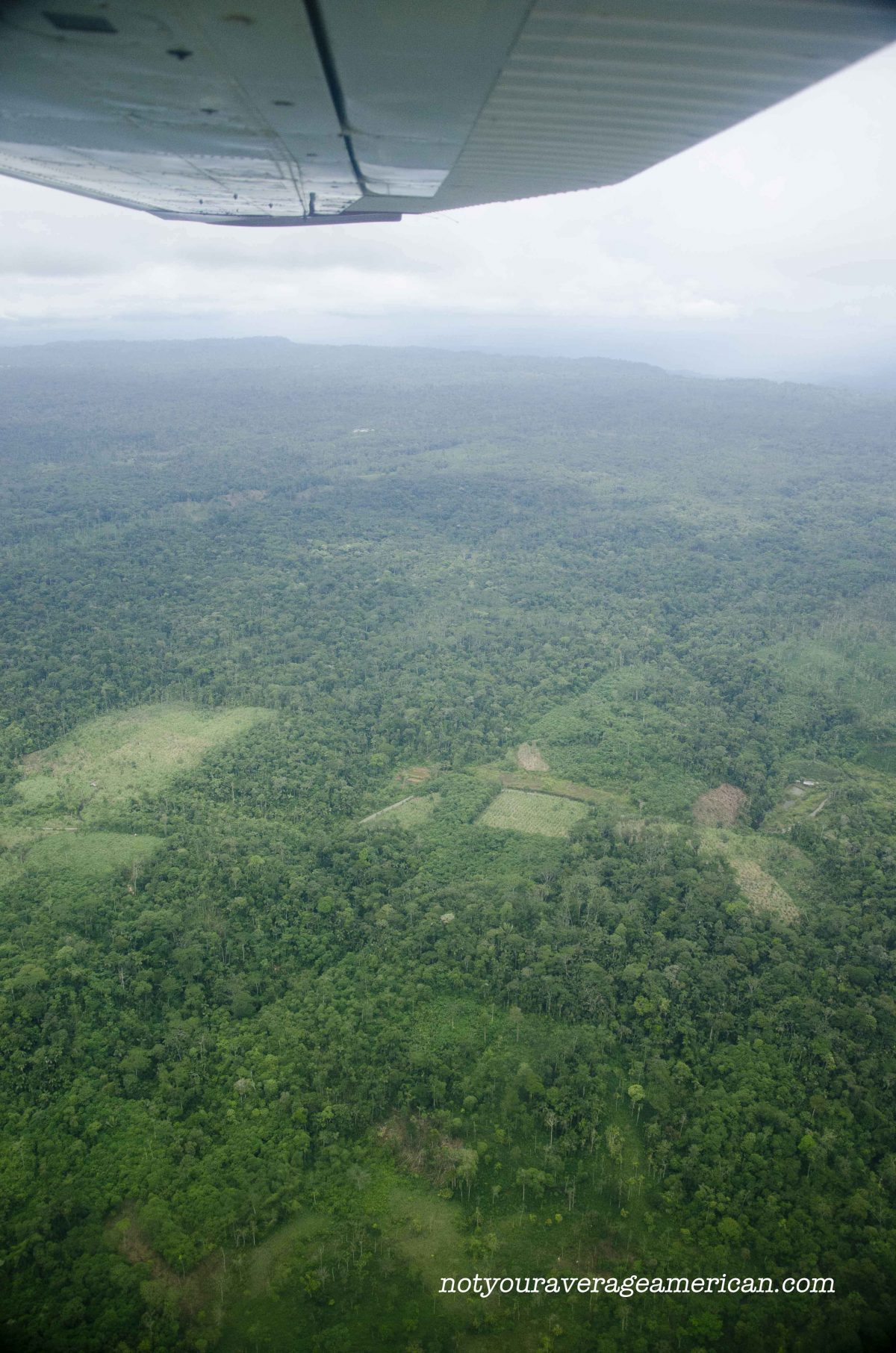 Leaving Shell for the jungle by plane allows us to see the changes taking place, Huaroani Lodge Leaving Shell for the jungle by plane allows us to see the changes taking place, Huaroani Lodge