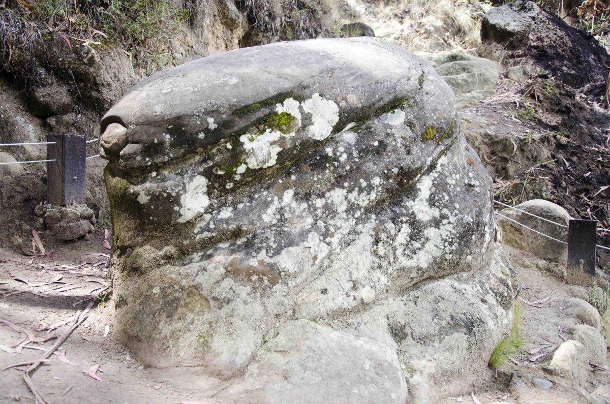Locals say that the turtle head was carved by Cañari long before the arrival of the Inca. Turtle Head, Ingapirca Trail, Cañar, Ecuador
