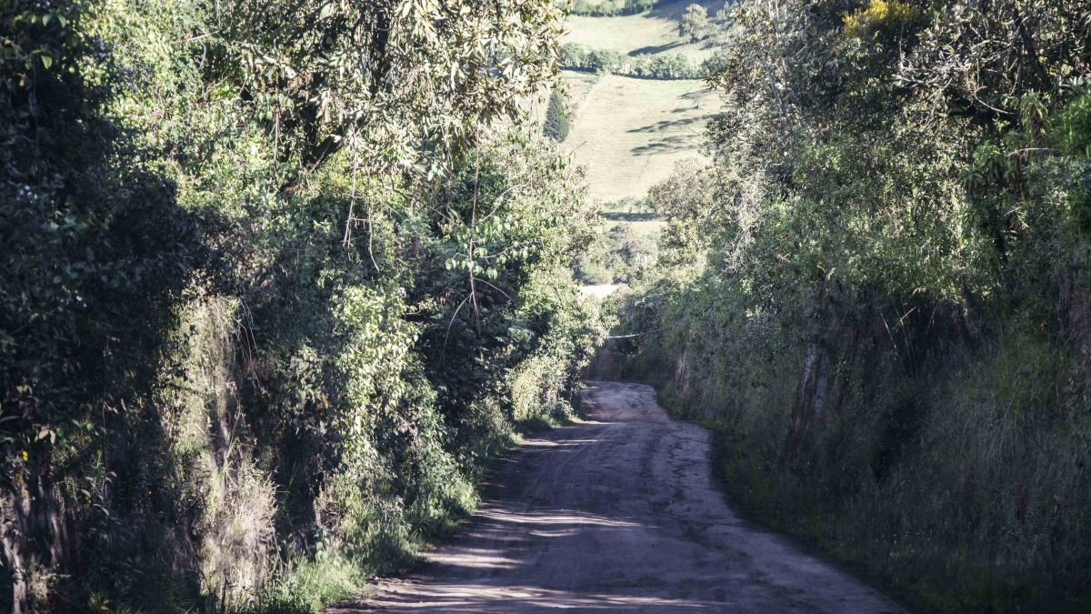 Narrow Country Road, Lloa, Ecuador Narrow Country Road, Lloa, Ecuador