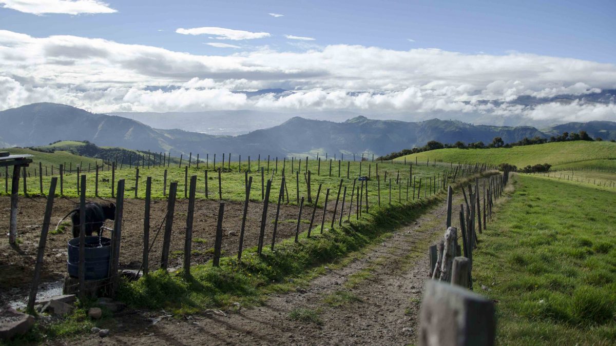 High Altitude Farms, Road to the Refugio of Guagua Pichincha, Ecuador High Altitude Farms, Road to the Refugio of Guagua Pichincha, Ecuador