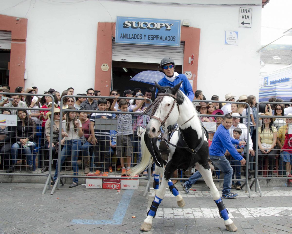 A boy rides a well-trained horse