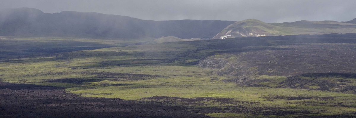 Volcan Sierra Negra, Isla Isabela
