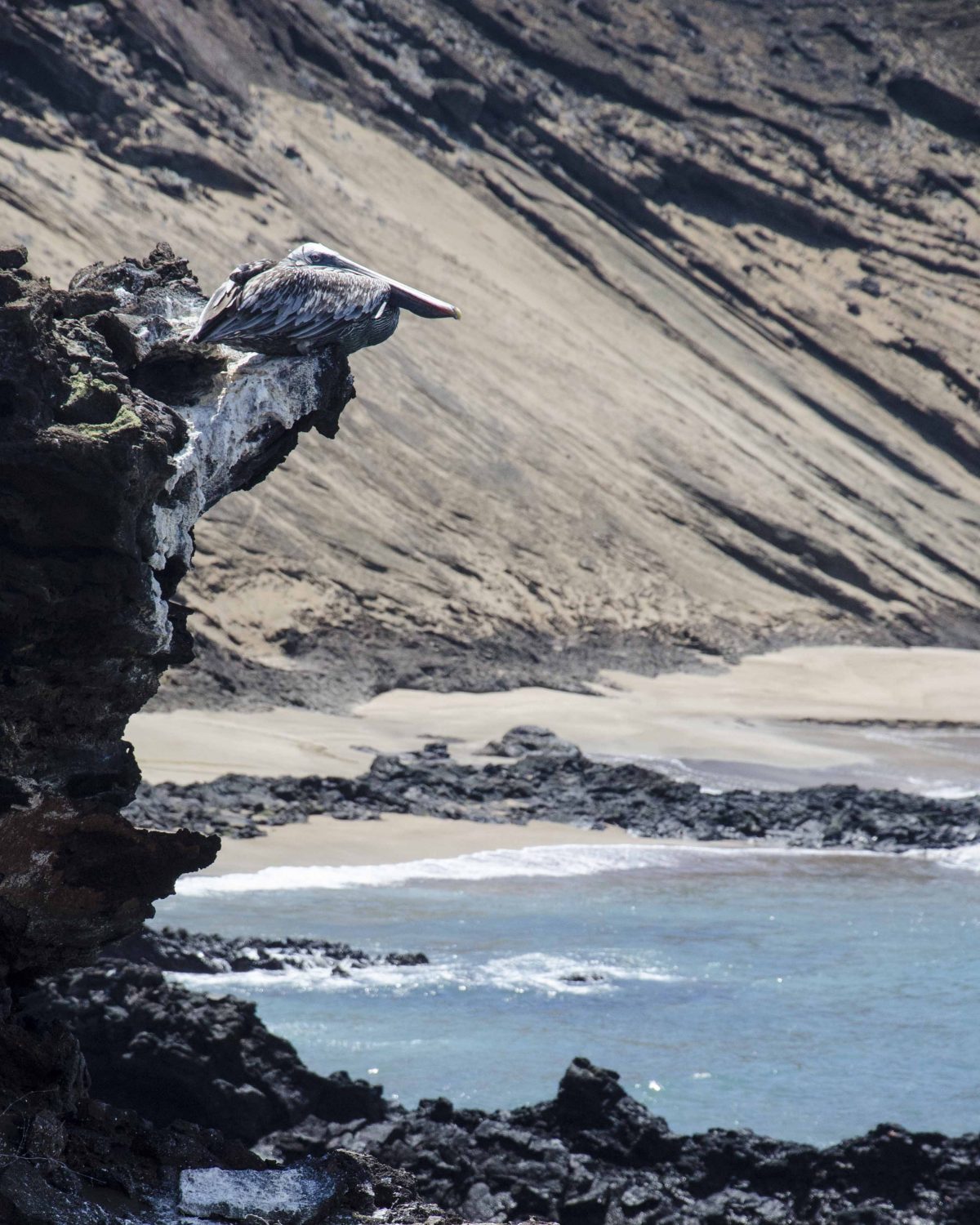 Bird's Eye View, Bartolome Island, the Galapagos Bird's Eye View, Bartolome Island, the Galapagos