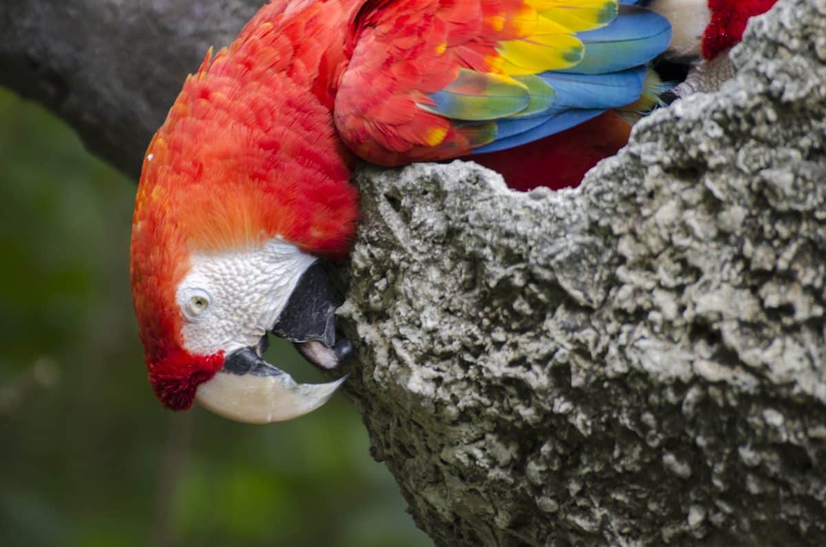 Gateway to Ecuador: Guayaquil