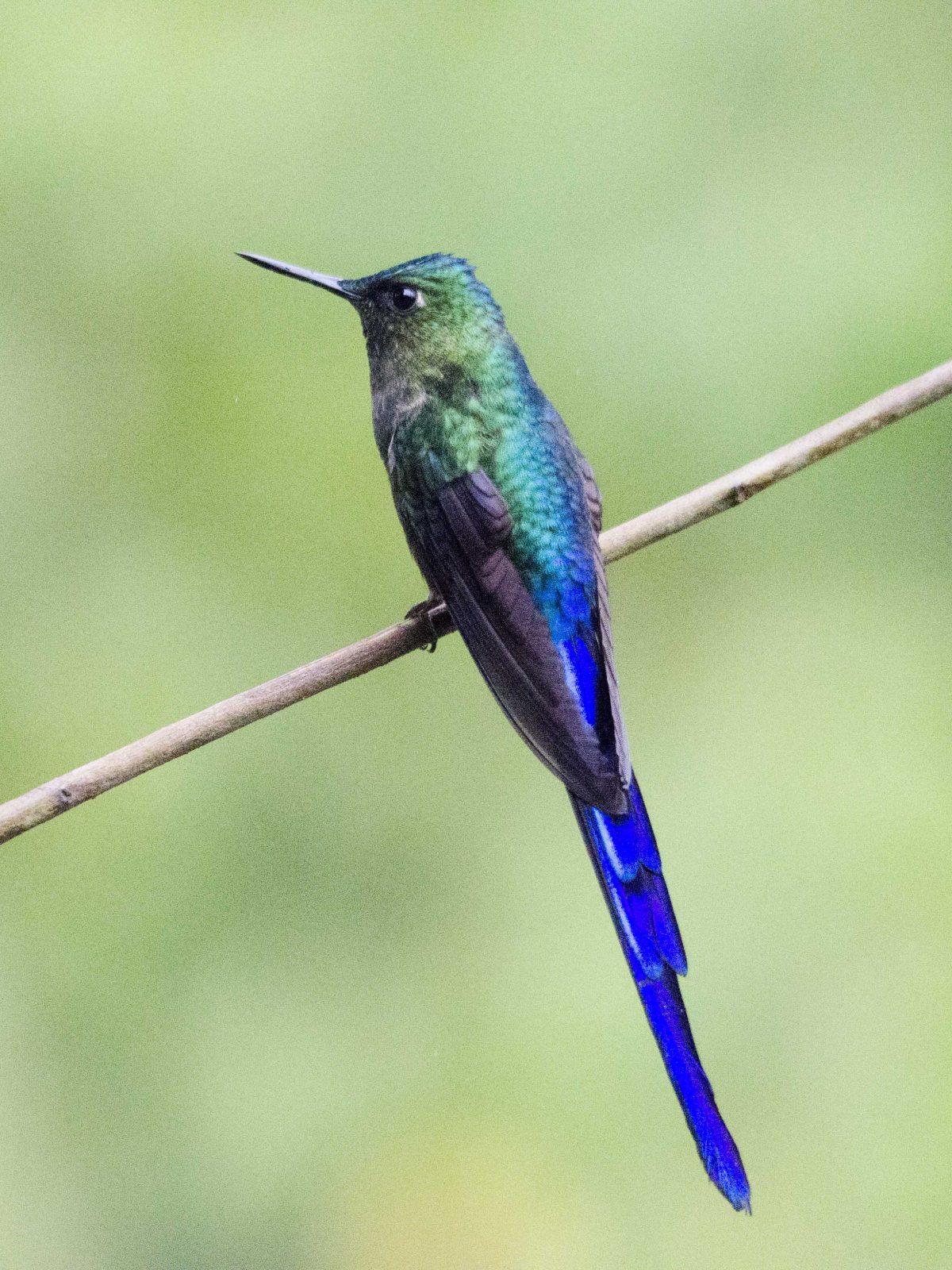 Ecuador Por Mis Ojos