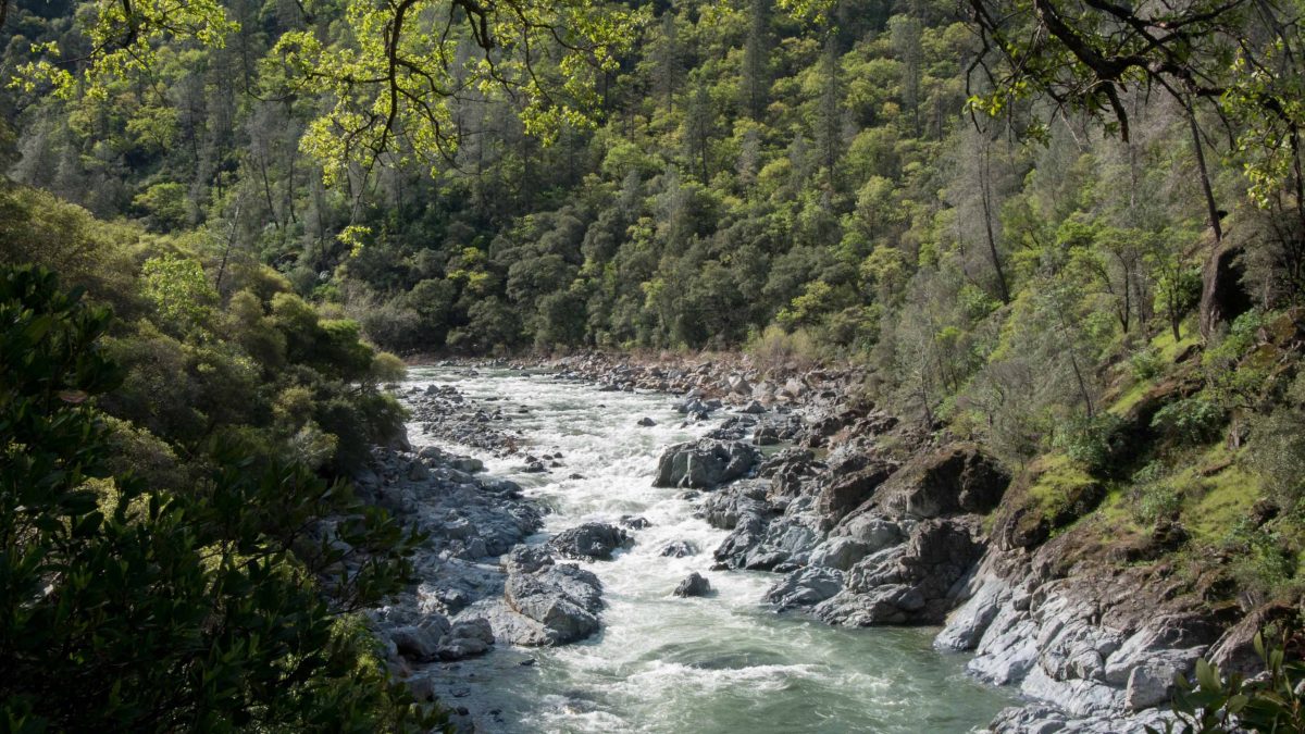 The South Yuba River at the Buttermilk Bend Hiking Trail.