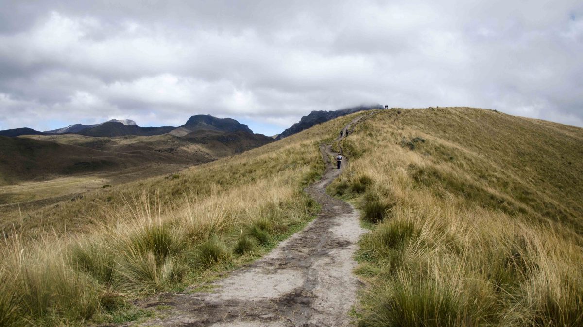 The Trail, Hiking Pichincha, Quito, Ecuador The Trail, Hiking Pichincha, Quito, Ecuador