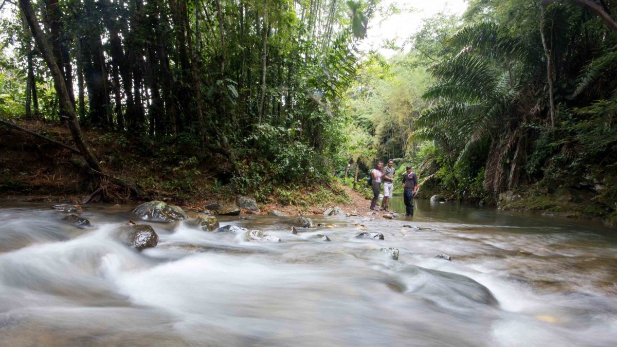 The Rio Chirapi, Pacto, Ecuador The Rio Chirapi, Pacto, Ecuador