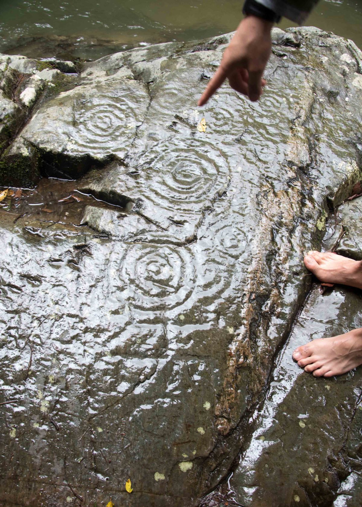 Petroglyphs along the Rio Chiripe, Pacto, Ecuador Petroglyphs along the Rio Chiripe, Pacto, Ecuador