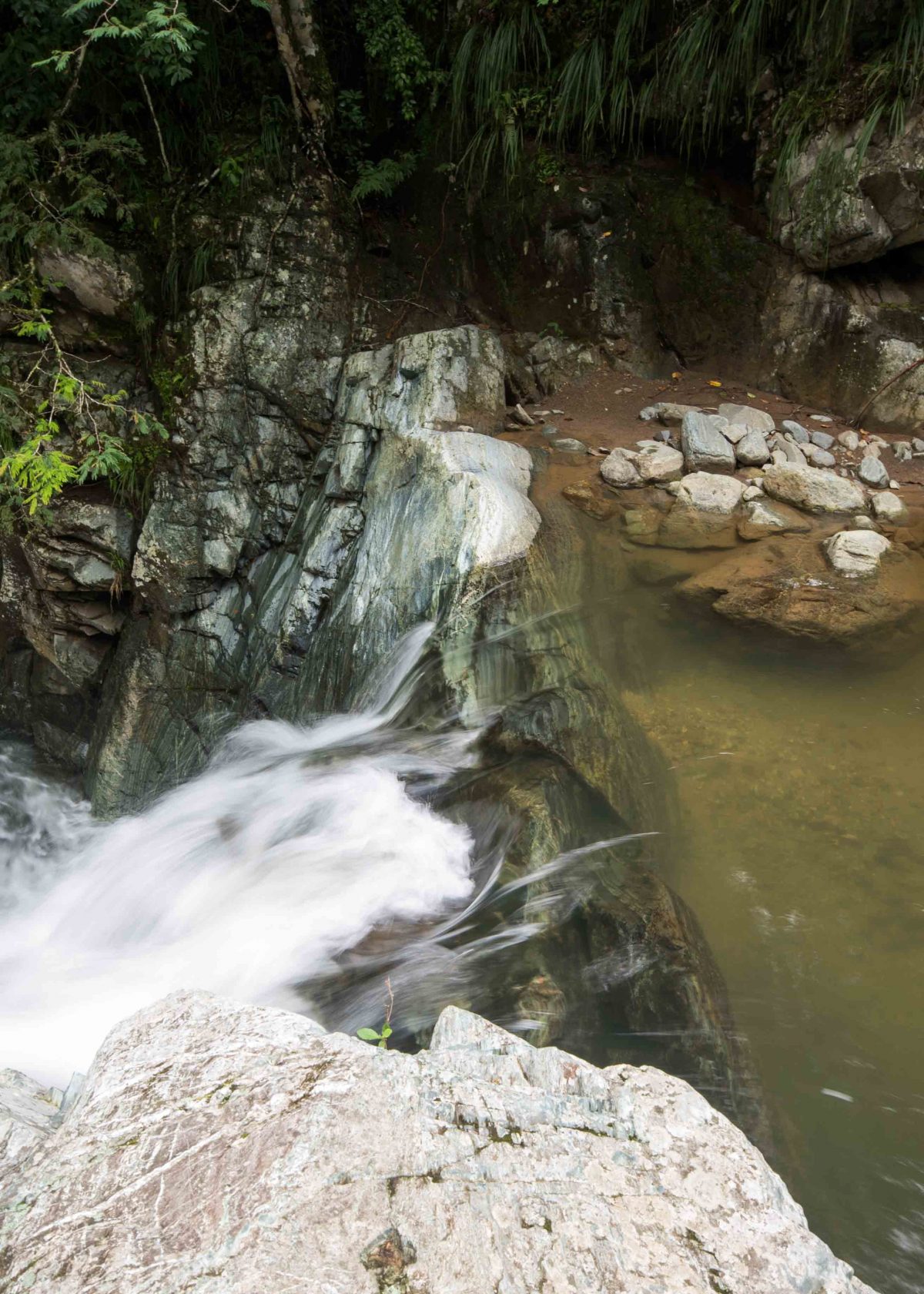 Cascada Gallo de la Peña, Pacto, Ecuador Cascada Gallo de la Peña, Pacto, Ecuador