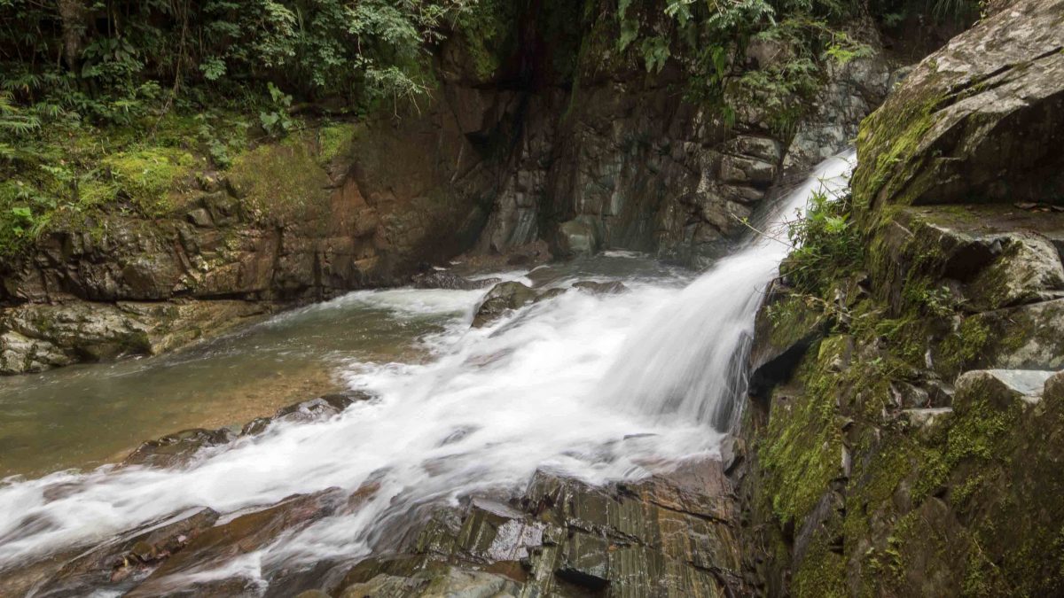Cascada Gallo de la Peña, Pacto, Ecuador Cascada Gallo de la Peña, Pacto, Ecuador