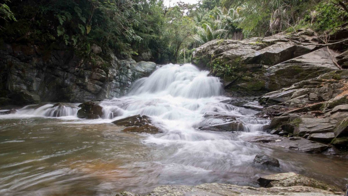 Cascada Gallo de la Peña, Pacto, Ecuador Cascada Gallo de la Peña, Pacto, Ecuador