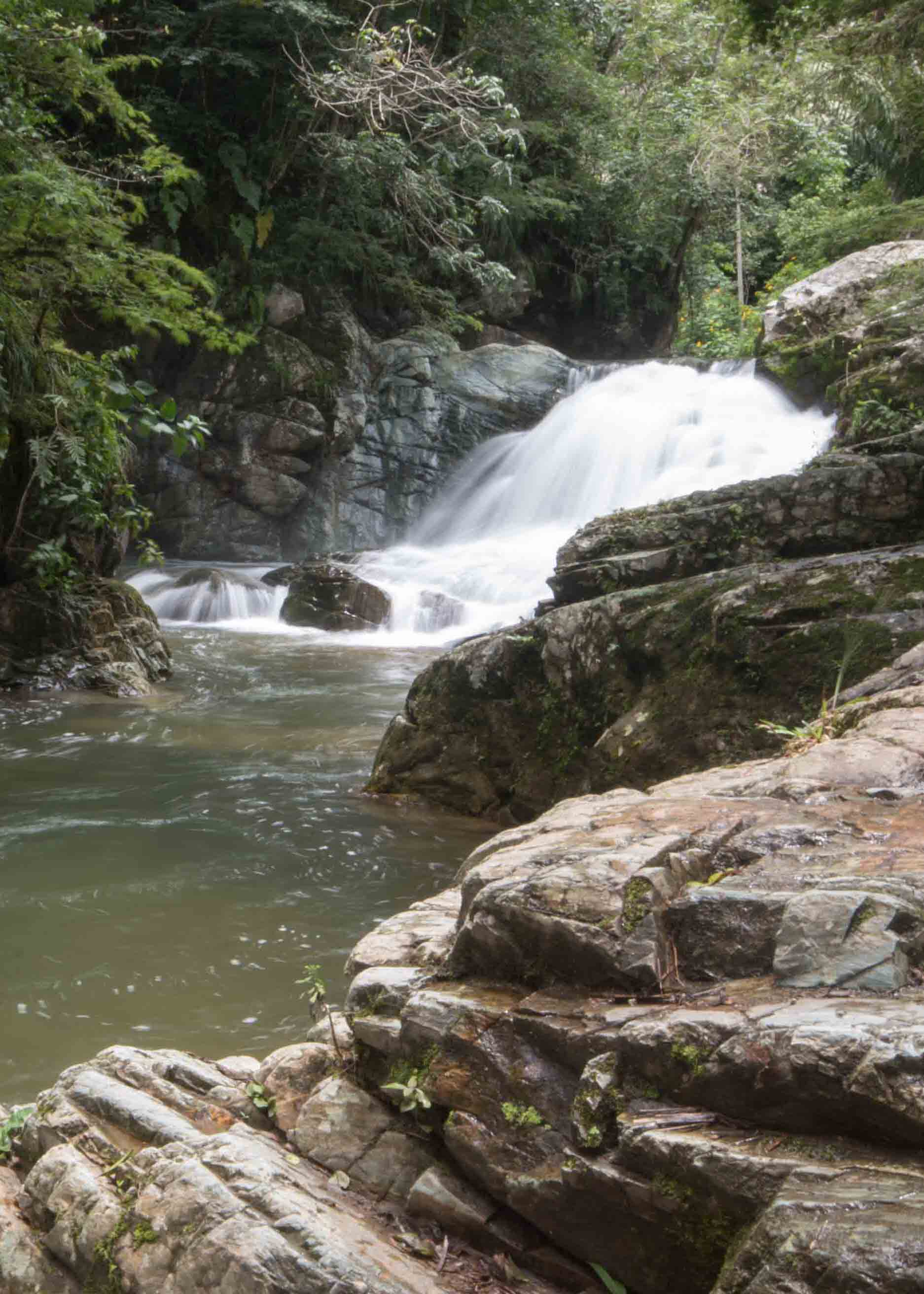 Cascada Gallo de la Peña, Pacto, Ecuador Cascada Gallo de la Peña, Pacto, Ecuador