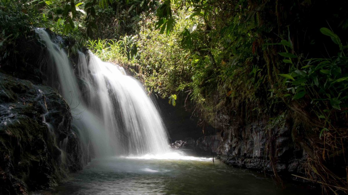 The final cascade, Cascadas Yanayacu, Napo Province, Ecuador The final cascade, Cascadas Yanayacu, Napo Province, Ecuador