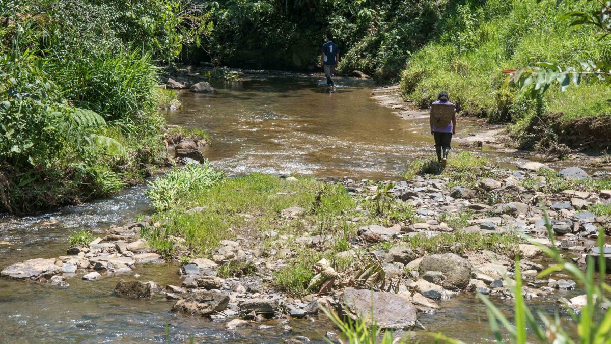 A woman walking back to the village, Cascadas Yanayacu, Napo Province, Ecuador A woman walking back to the village, Cascadas Yanayacu, Napo Province, Ecuador