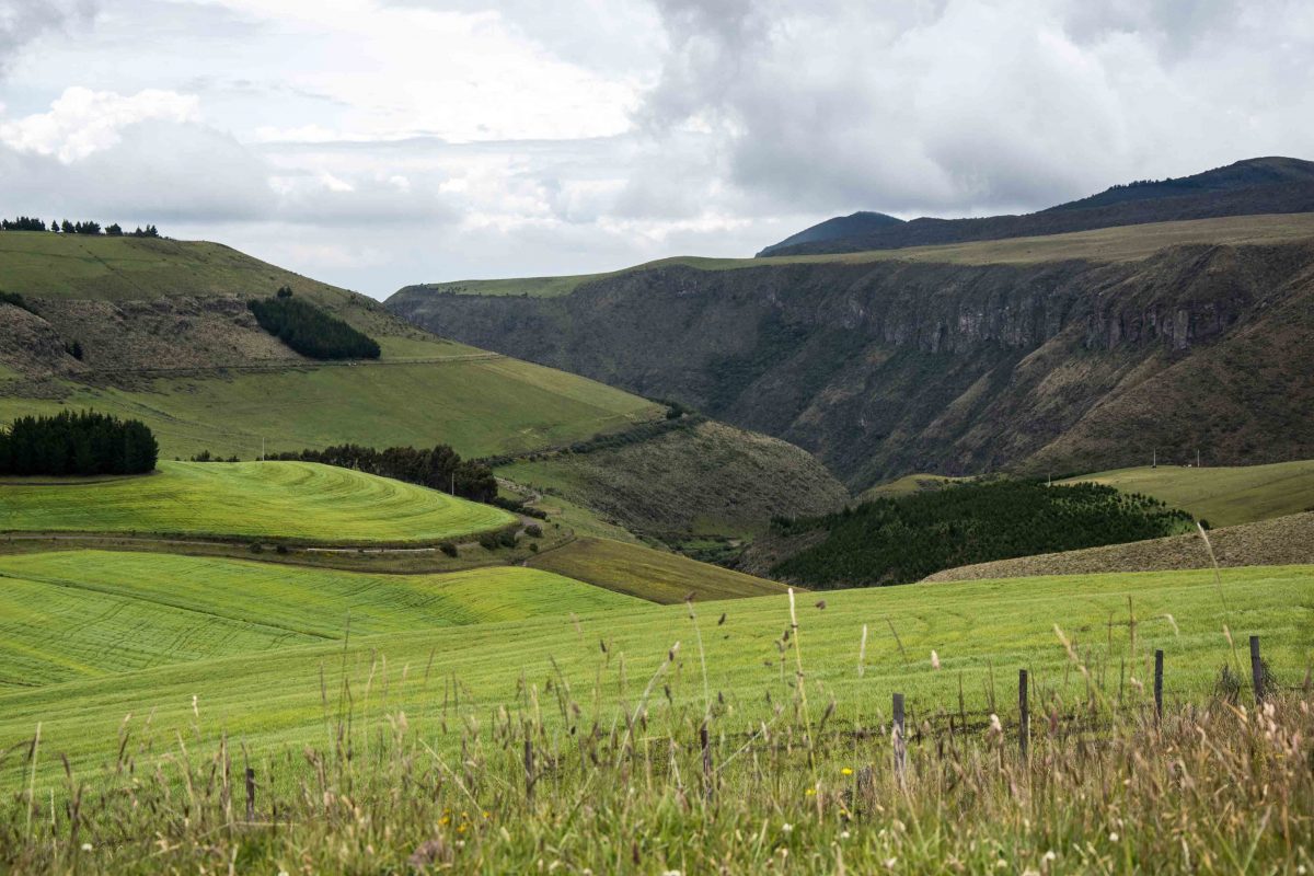 Farmland near the Antisana Conservation Area | ©Angela Drake Farmland near the Antisana Conservation Area | ©Angela Drake