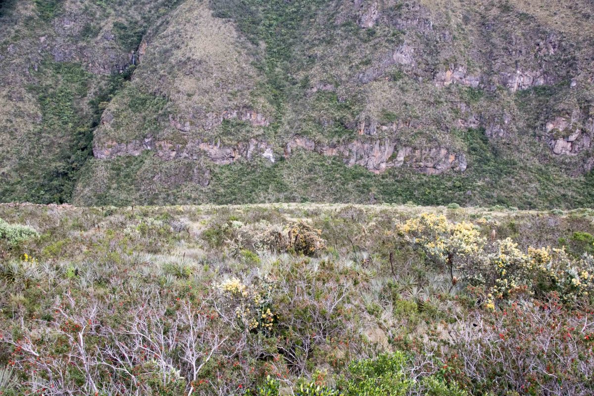 Cliffs near the Antisanilla Reserve Viewing Point | ©Angela Drake Cliffs near the Antisanilla Reserve Viewing Point; Reserva Antisanilla, Secas, Ecuador | ©Angela Drake